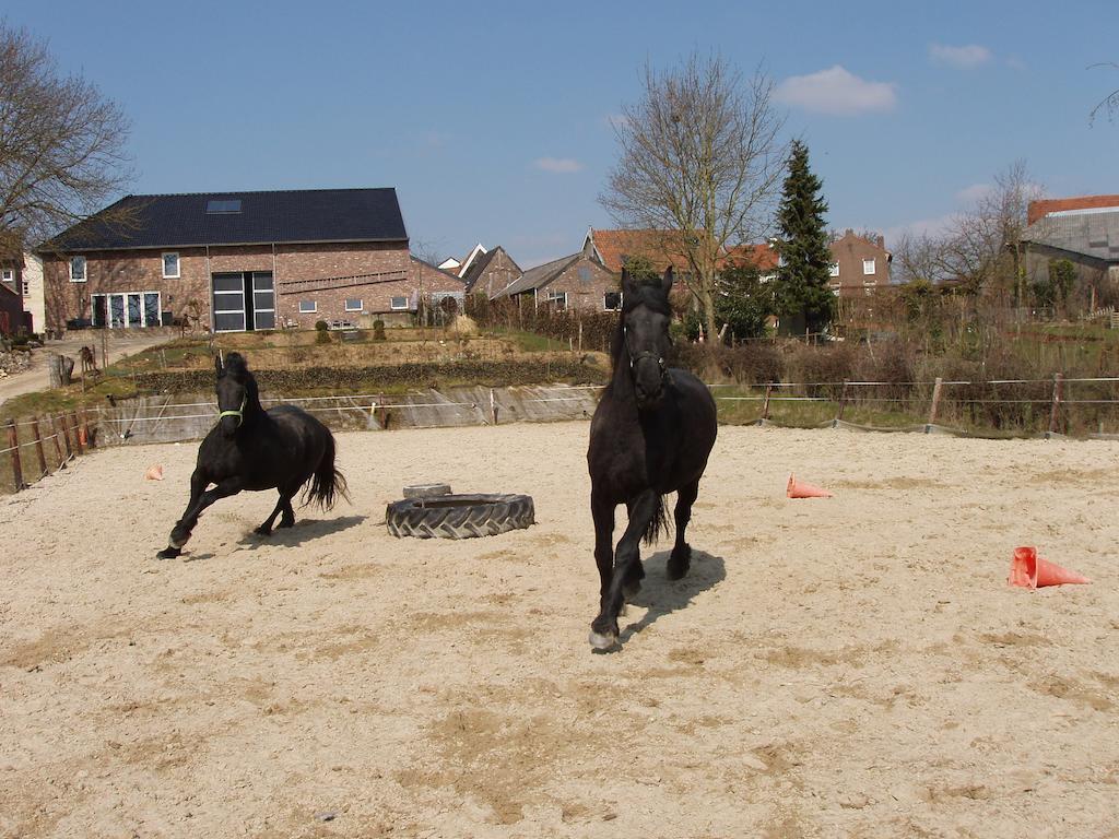 De Moolt Vakantiewoningen Eckelrade Ruang foto